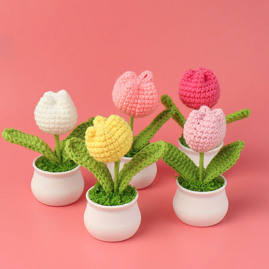 Handmade Crocheted Wool Tulip Small Plant